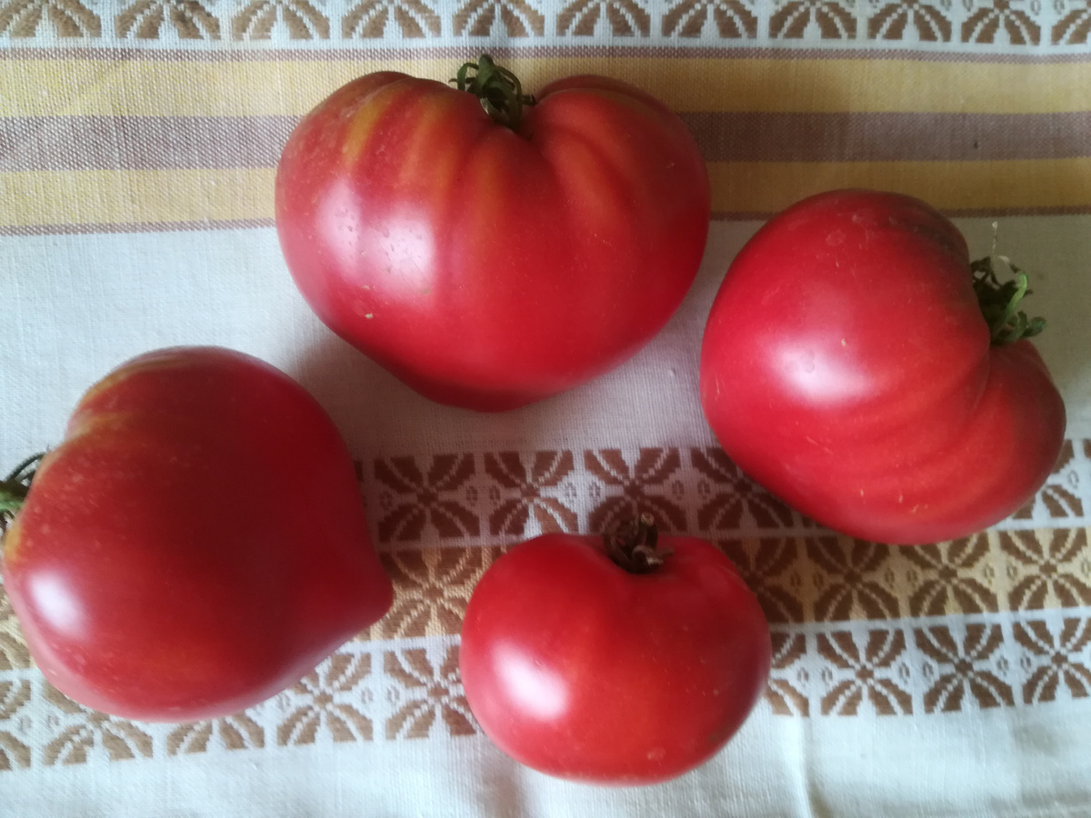 "Клубничный сержант"