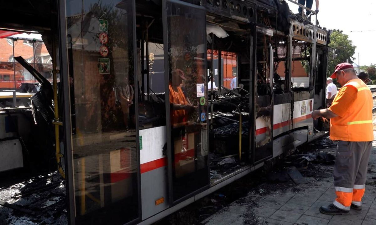    Видео канала «Кубань 24»