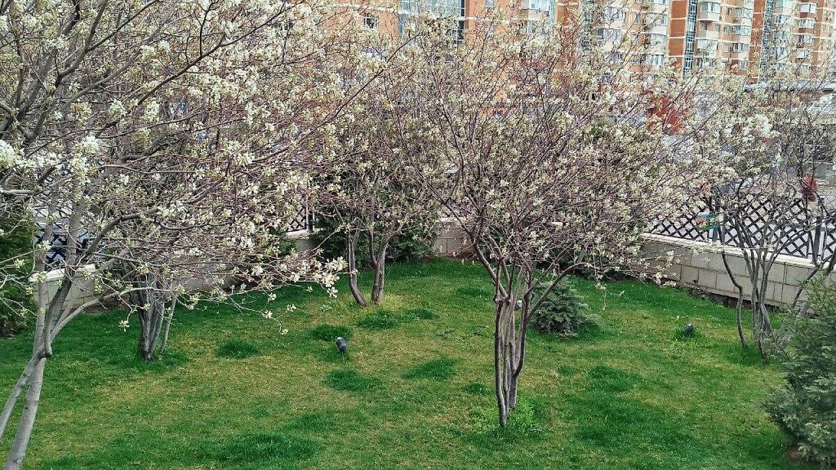    Фото: телеканал «Краснодар»