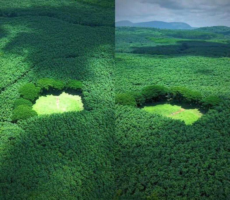    Самый красивый стадион для крикета в мире скрывается среди чайных плантаций Индии