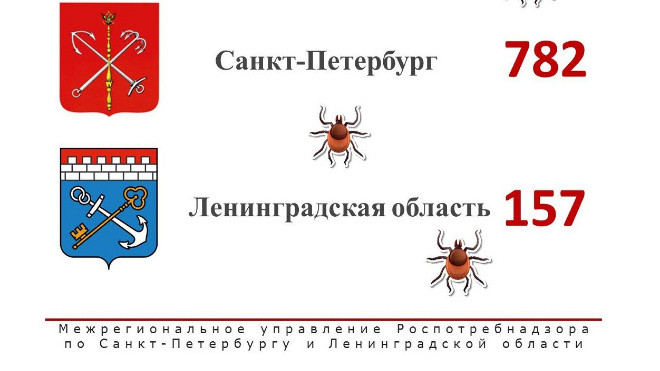 Фото: Роспотребнадзор по Петербургу и Ленинградской области