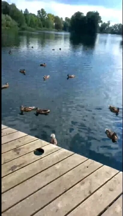 Пруд Коновалова из личного архива