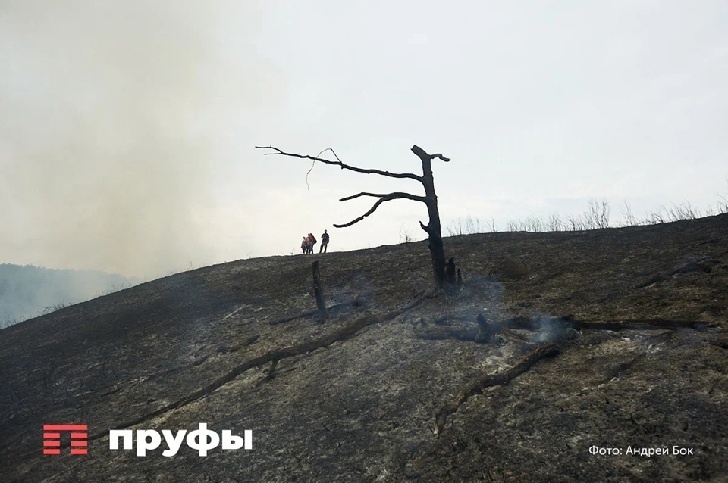    Фото: Пруфы.рф