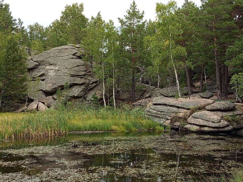 Озеро Моховое.