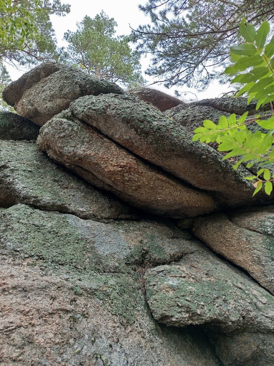 Каменные оладышки.