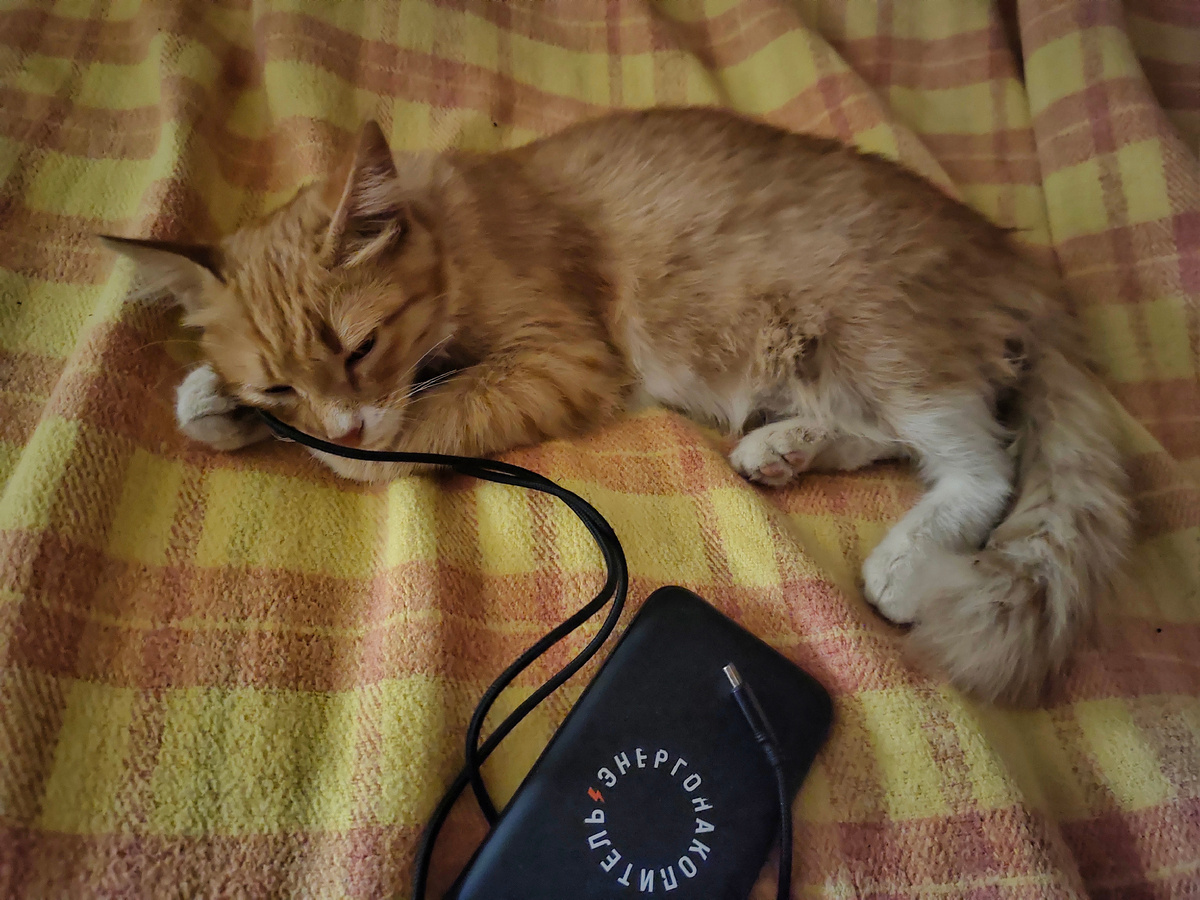 Феня на подзарядке