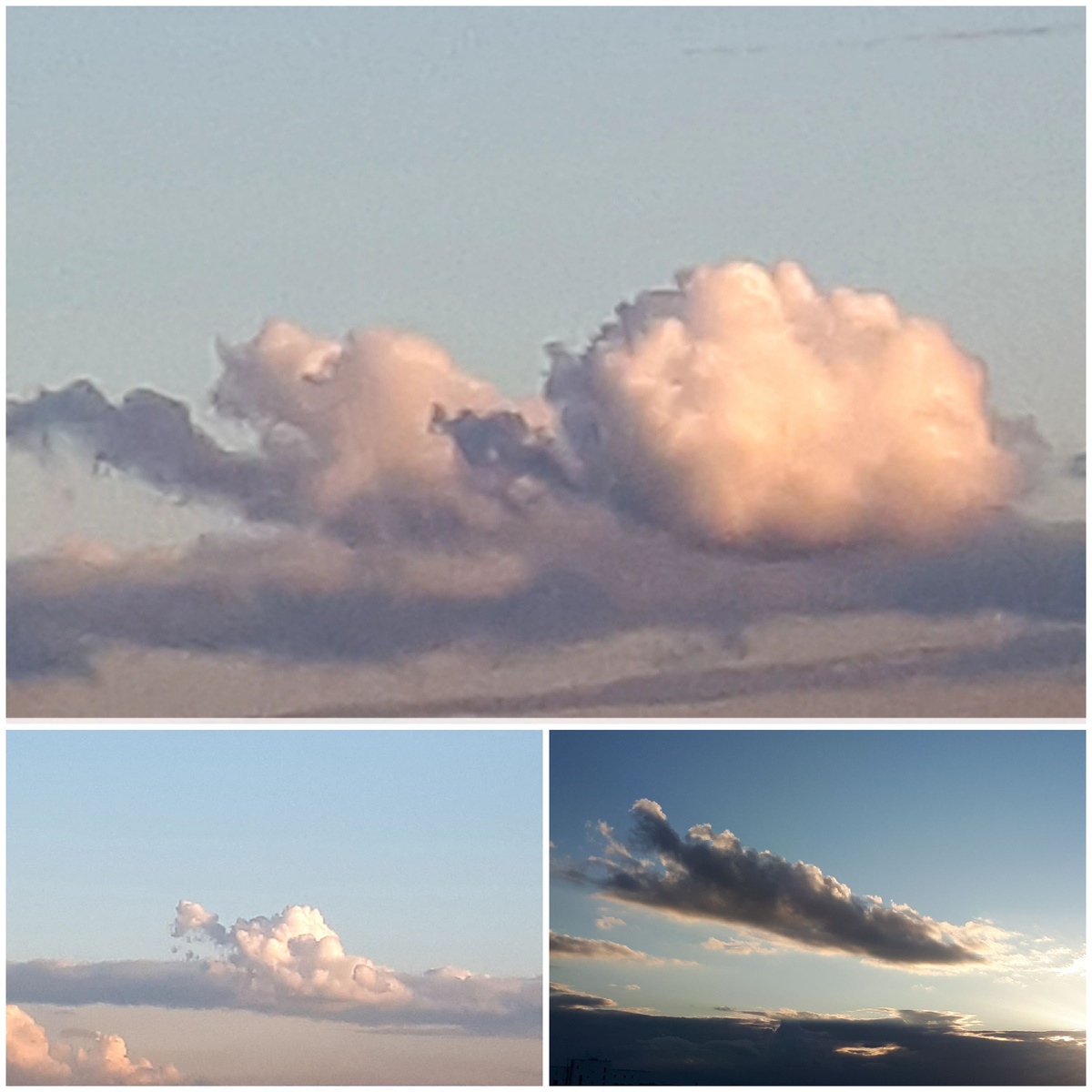 Коллаж автора 21.08.2025г.