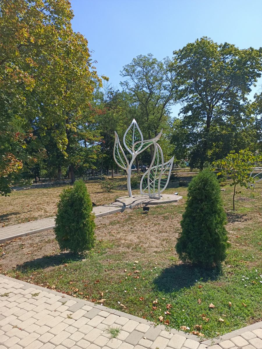 Старощербиновская. Парк.