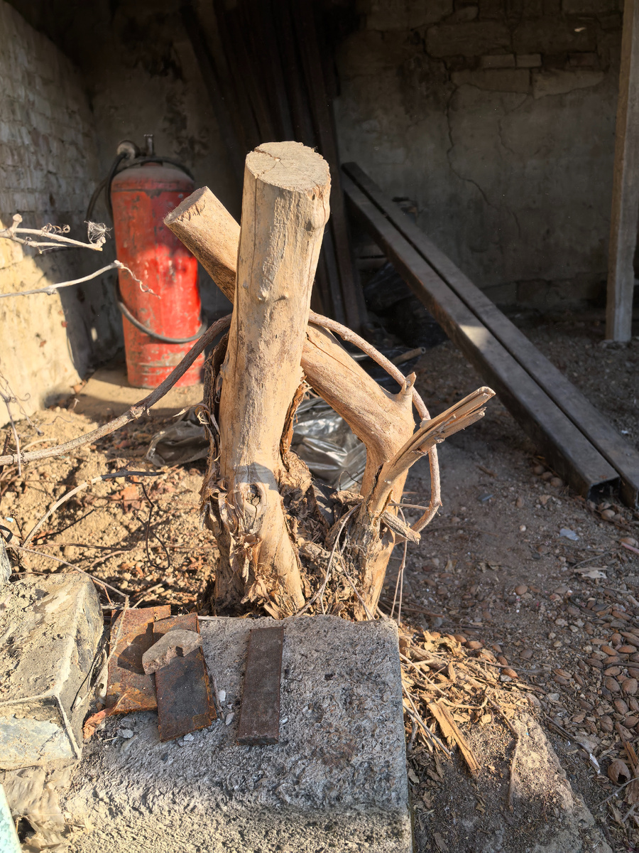 Пня уже нет