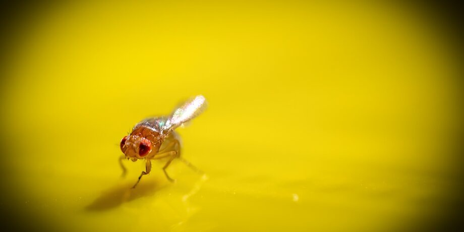 Фото: 123RF/youngishowyoufeel