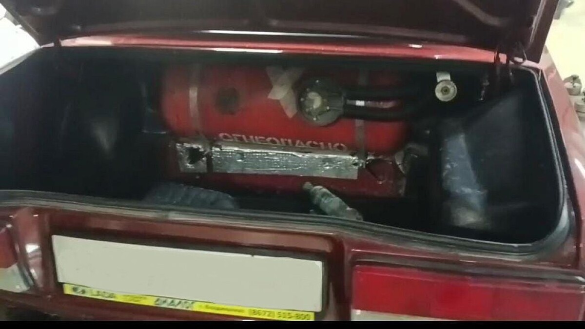    Фото: пресс-служба Краснодарской таможни по Сочи