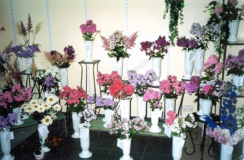 Выставка на Кутузовском проспекте