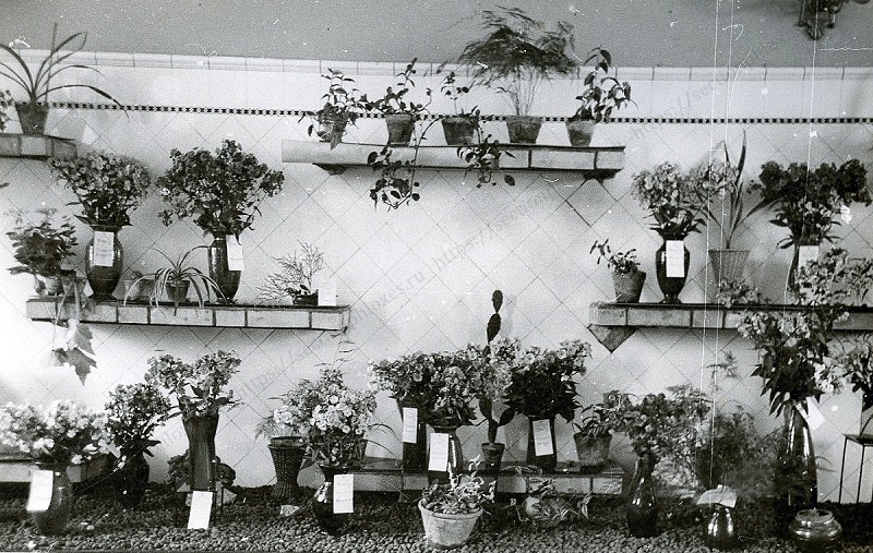 Выставка на Большой Дорогомиловской улице