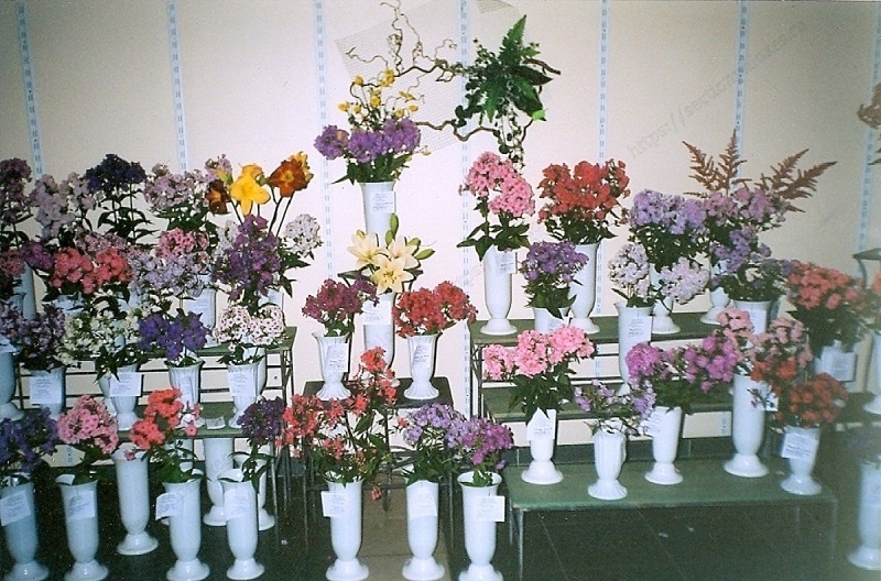 Выставка на Кутузовском проспекте