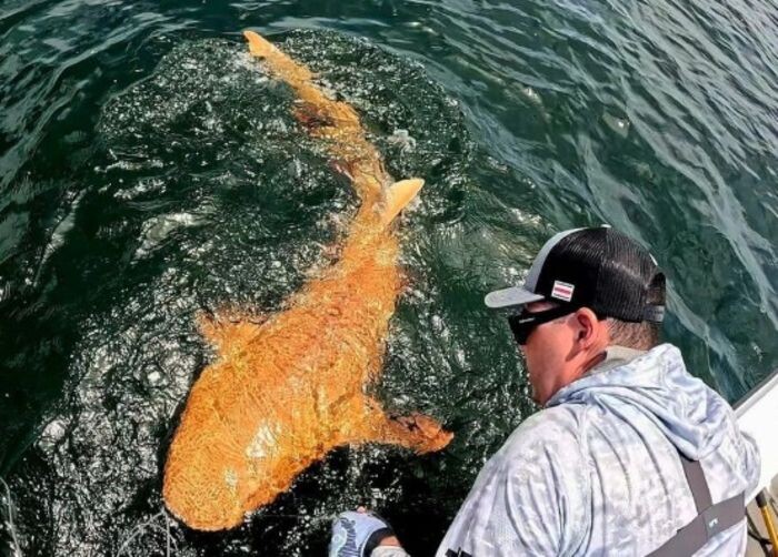 Иллюстрация: © Garvin Watson