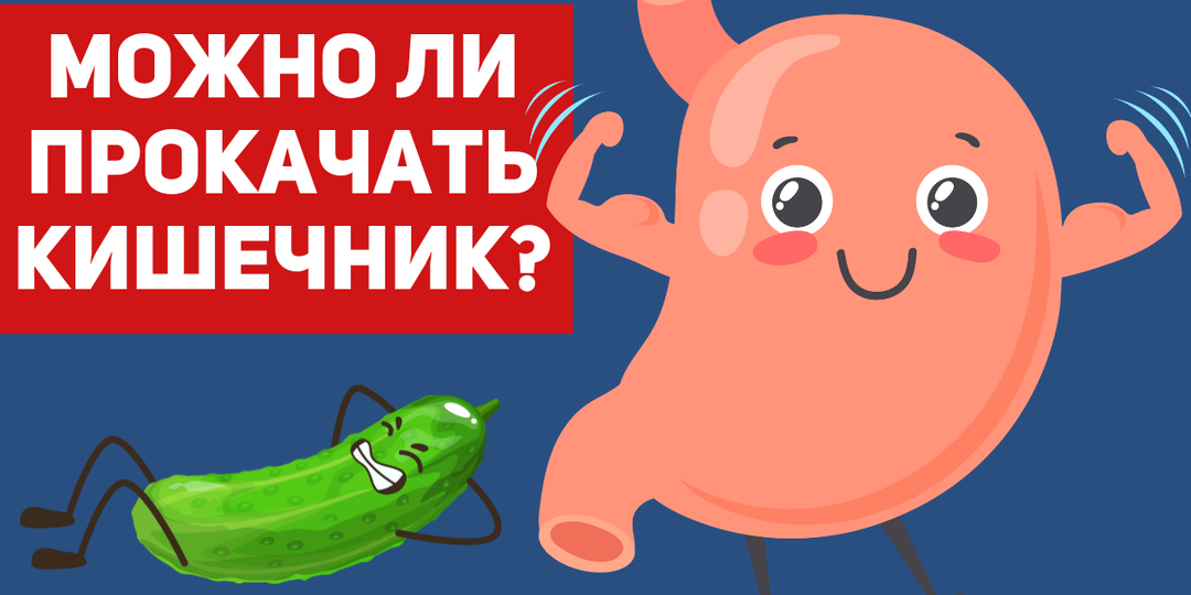 Как физические упражнения влияют на наше пищеварение