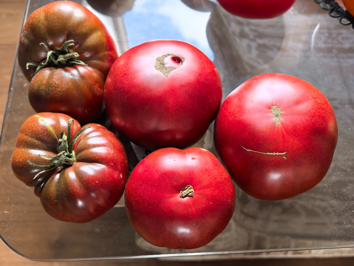 Сиреневое озеро