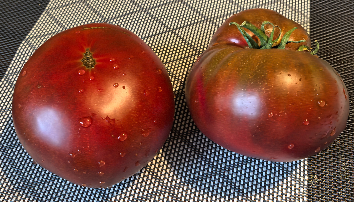 Сиреневое озеро