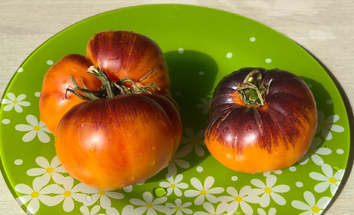 Послеобеденный восторг 