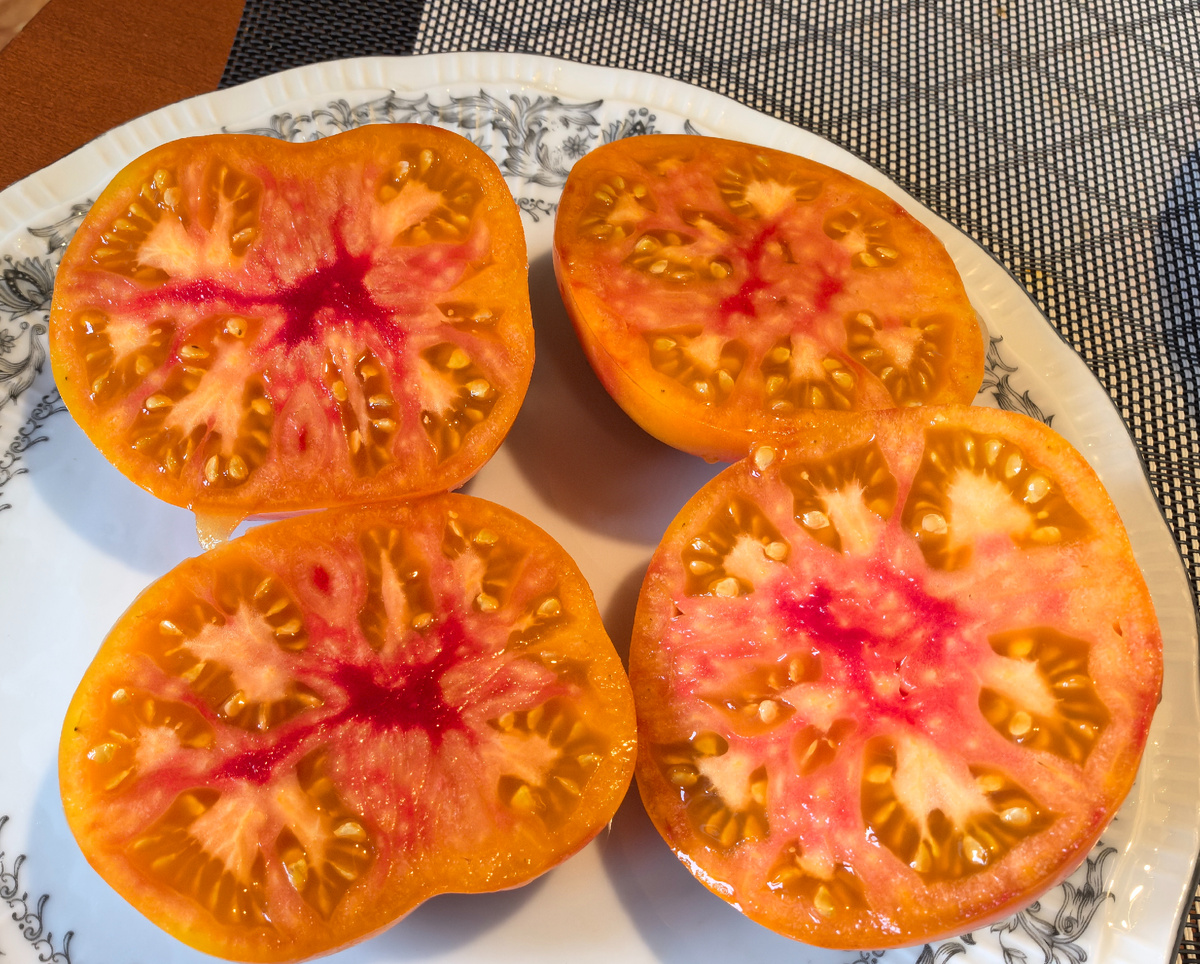 Послеобеденный восторг 