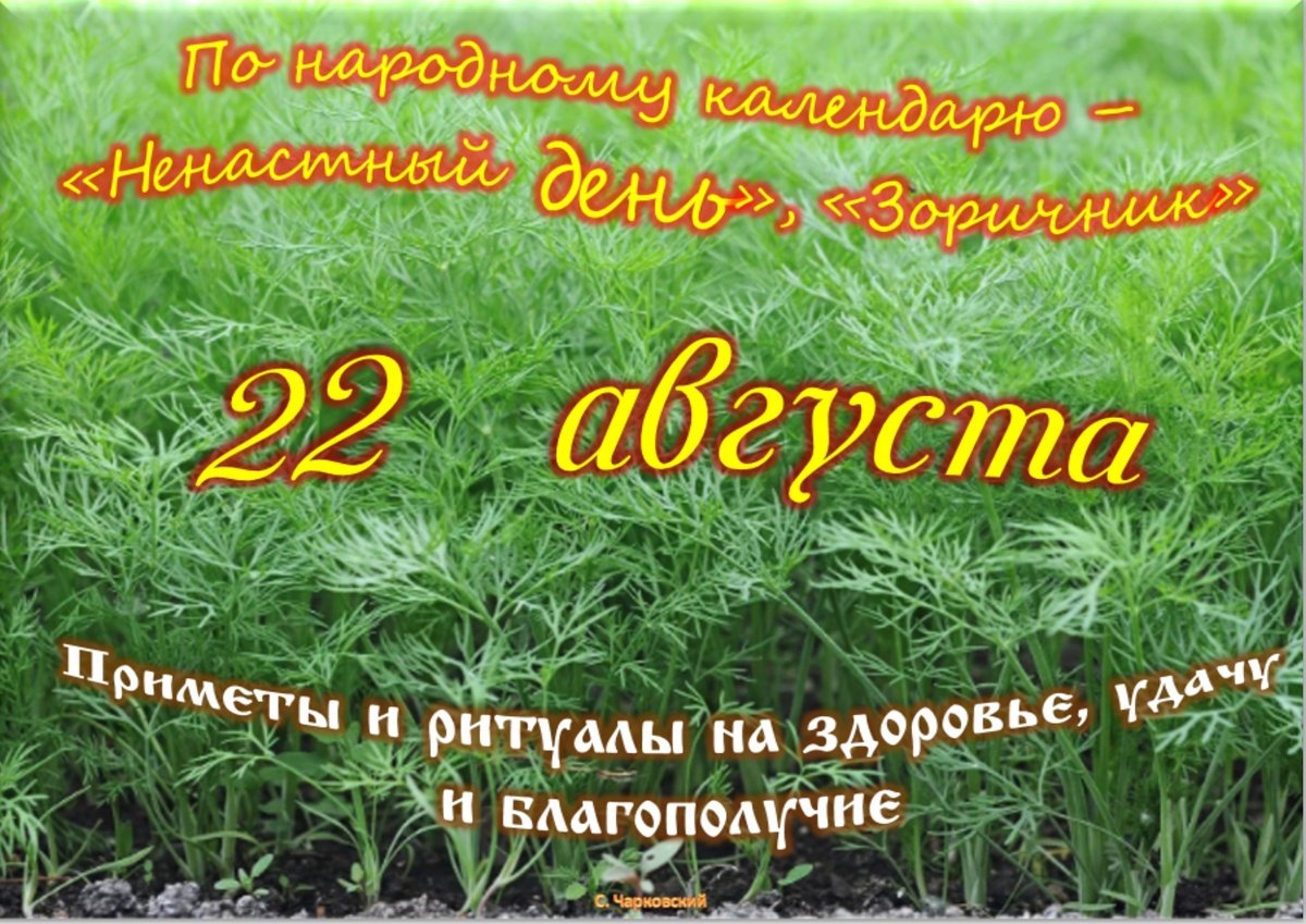 Встречаем новый день