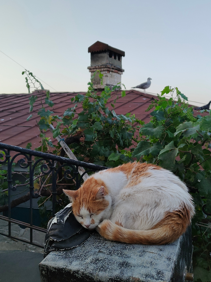 Фото автора.