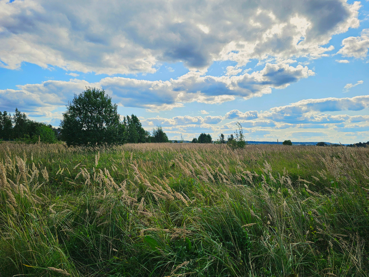 Мясина гора, фото автора