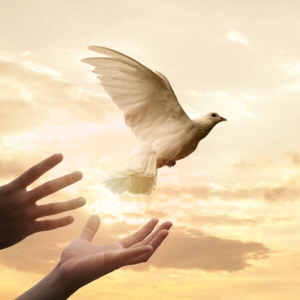 Из интернета