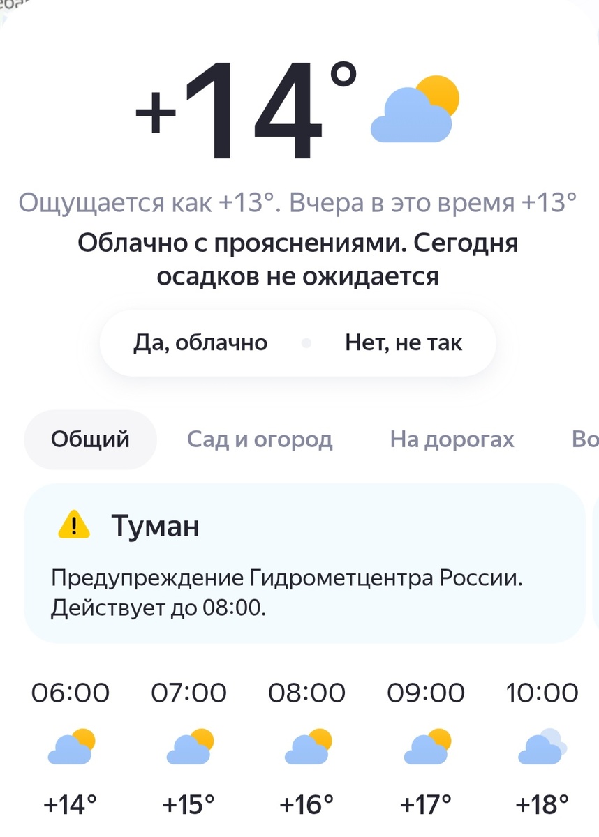 Погода такая странная в этом августе. Скрин приложения