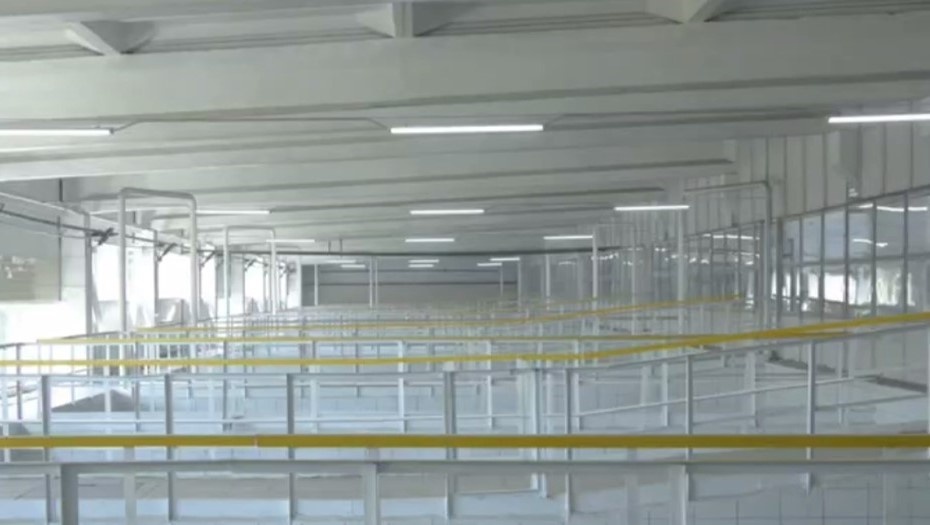    Автор фото: t.me/VDKSPB