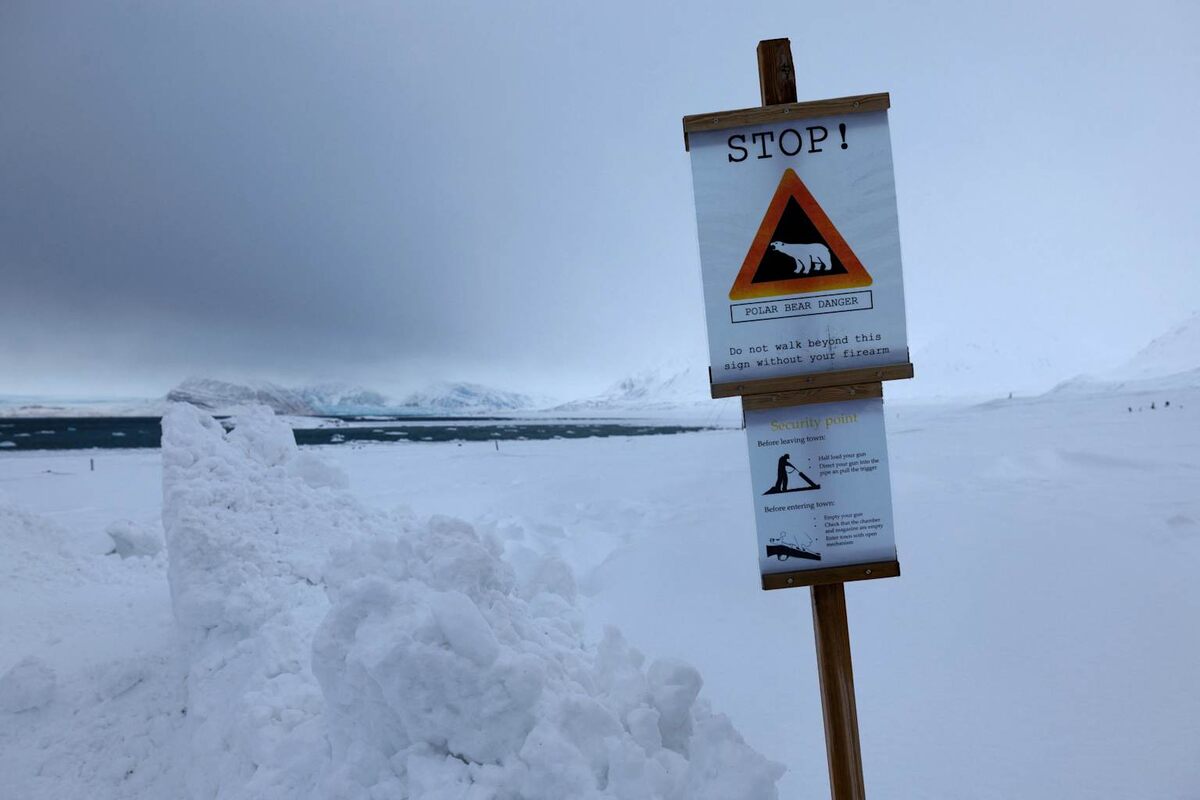 Арктика нагревается в четыре раза быстрее, коралловые рифы разрушаются