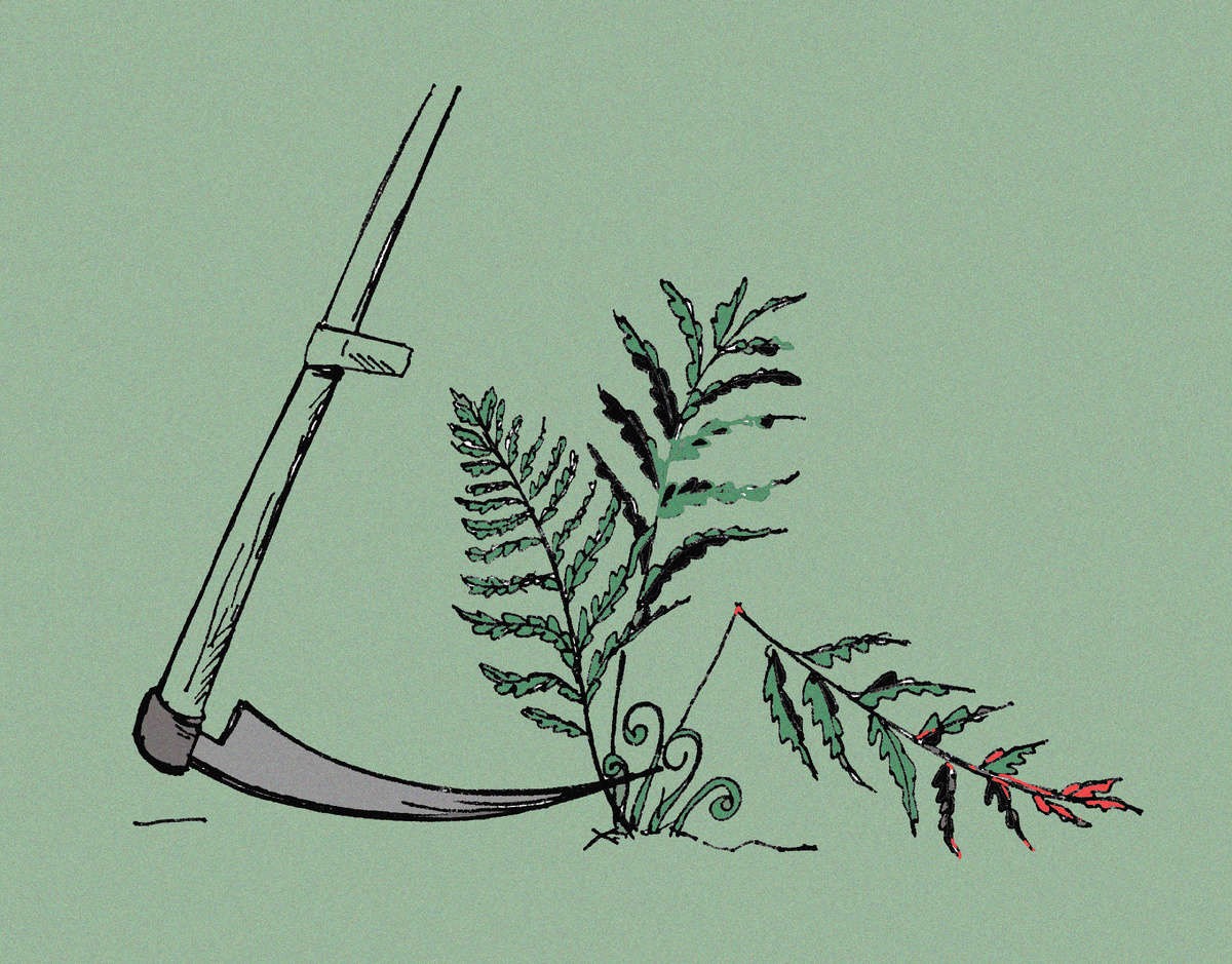 Иллюстрация Лены Солнцевой 