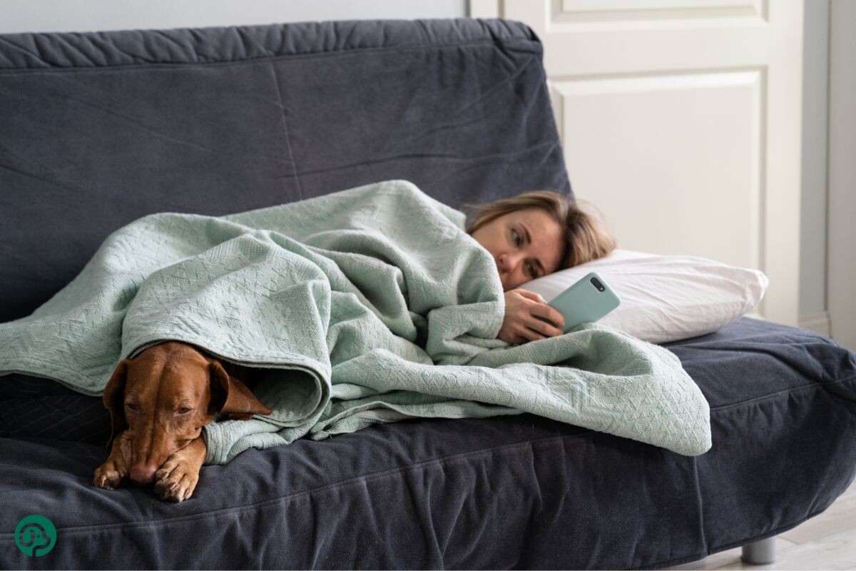 Хозяйка с собакой на диване 