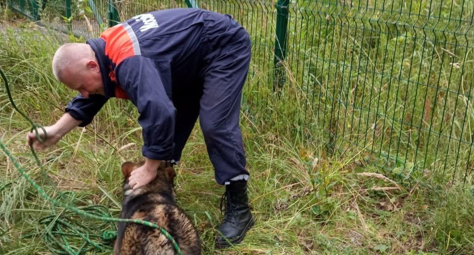    ГКУ МО "Мособлпожспас"