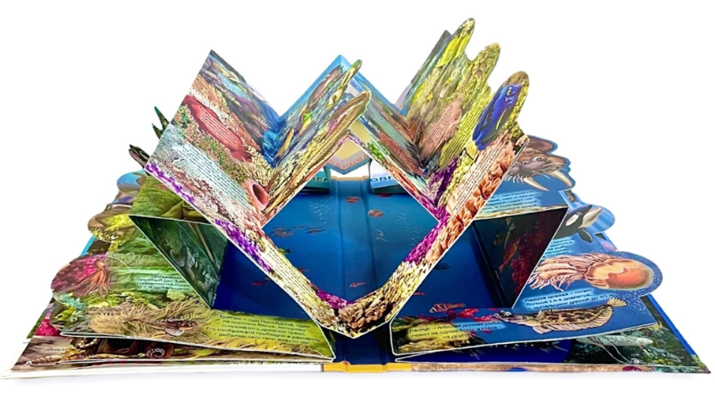 Фото: сайт издательства bimbobooks.ru