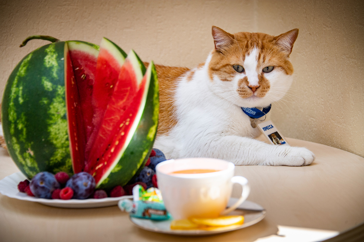 Записывайте рецепты в кулинарные книги!