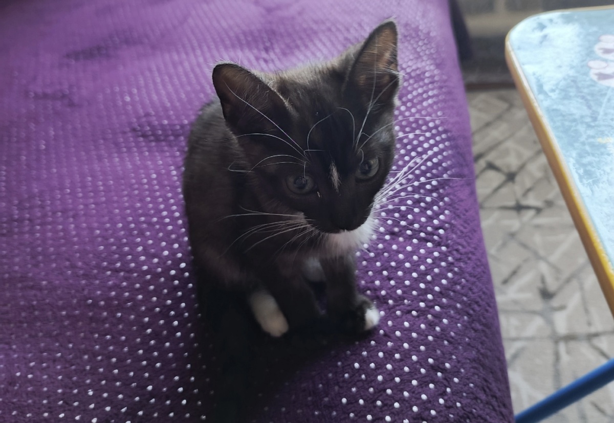 Счастья тебе!