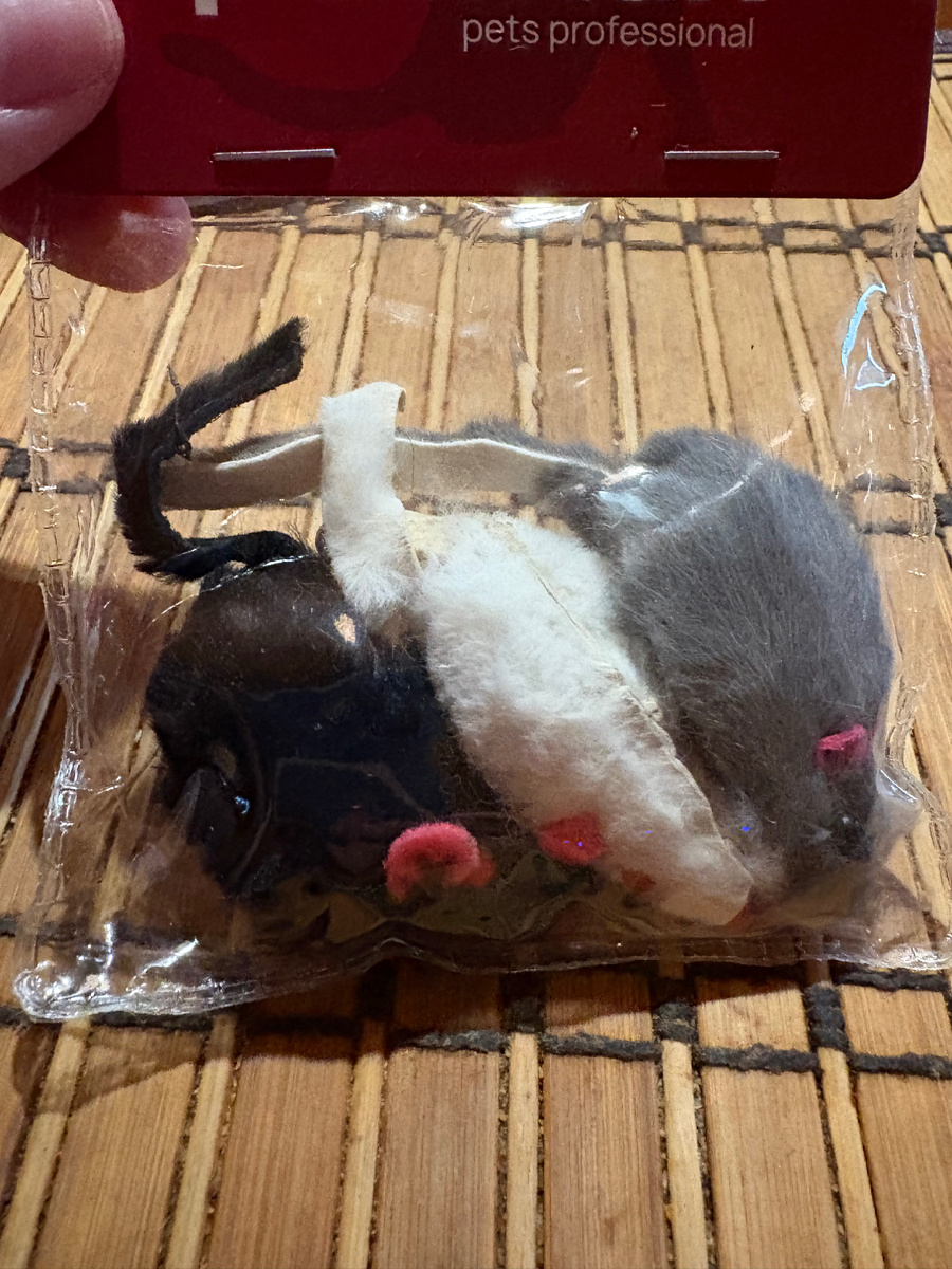 Черная мышка на меня и "напала".