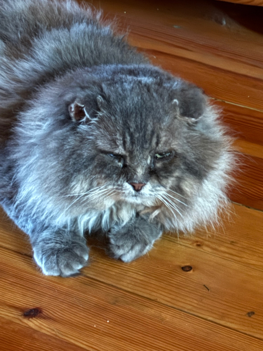 Ты бегай, бегай! У тебя уже хорошо получается! Везде фото автора.