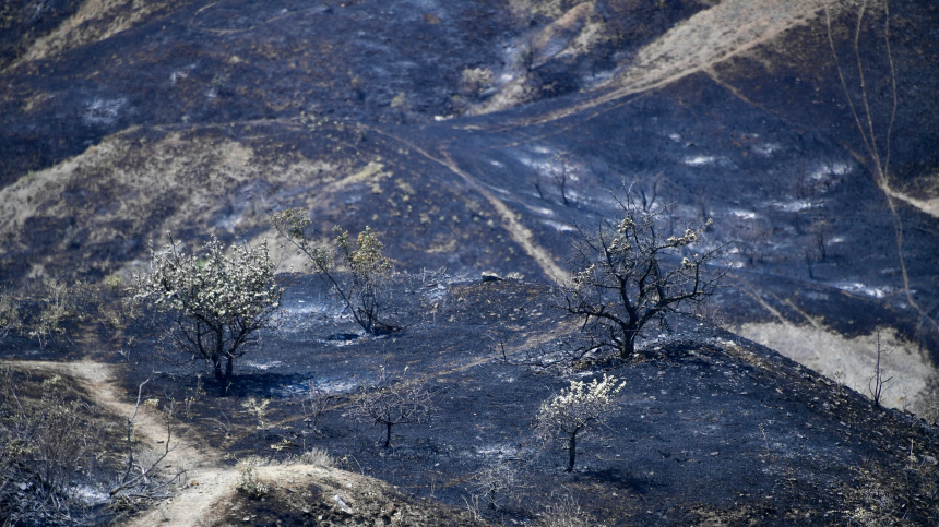    Фото: © РИА Новости/Дмитрий Макеев