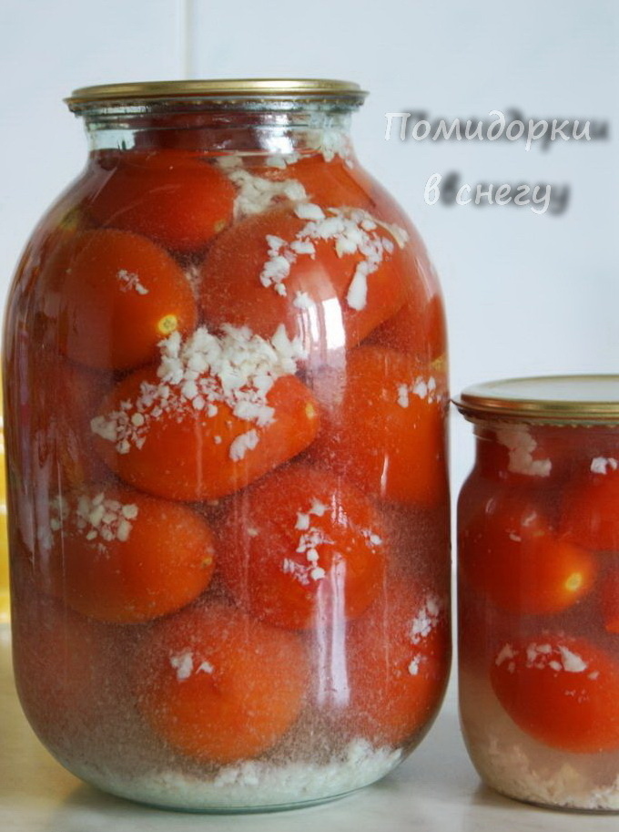 Фото автора. Помидорки в снегу.