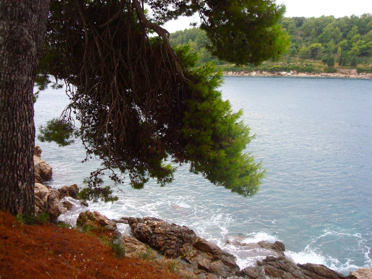    Хорватия. Макарская ривьера. Фото автора