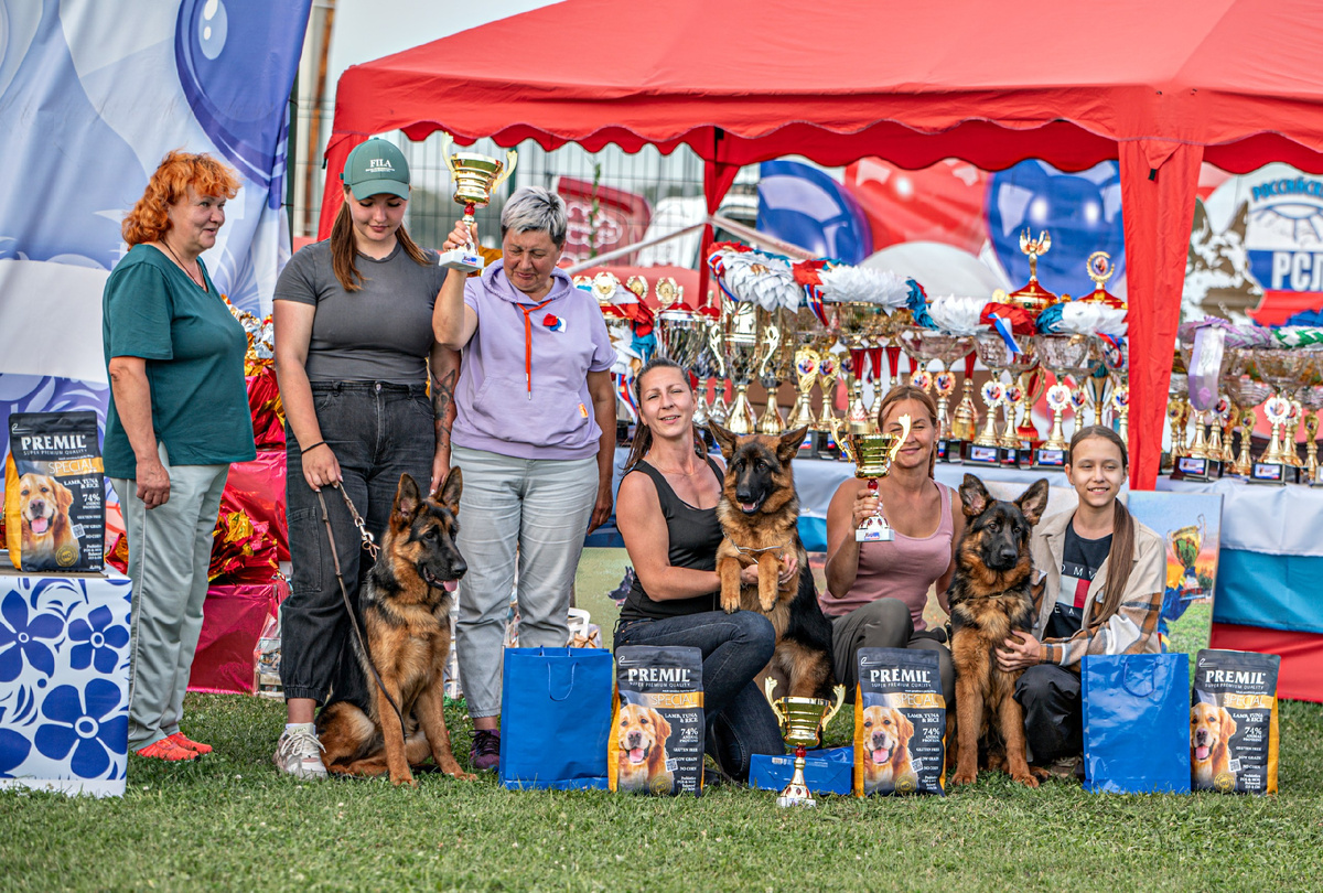 Главная выставка немецких овчарок-2025. Фото: Милана Бабченко/фотограф анималист