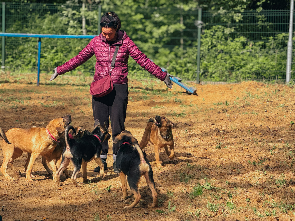 Все приветы и эмоции вот здесь