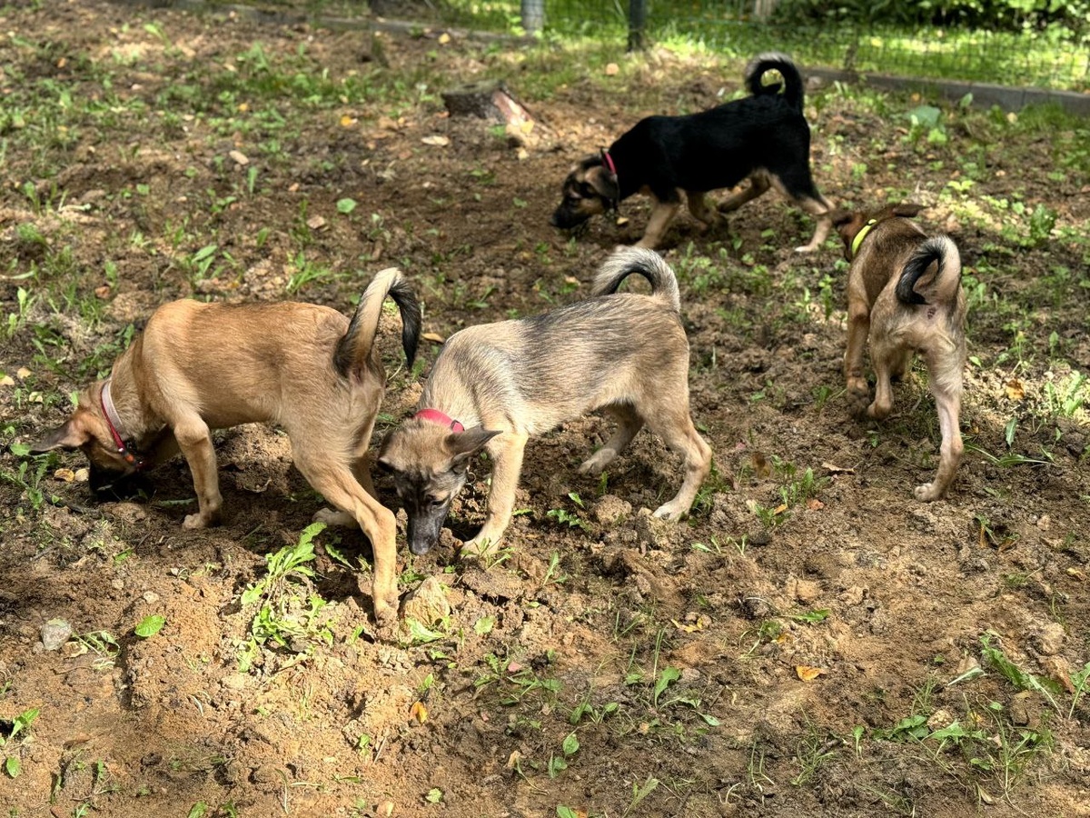 Кончился? А как оно пахнет?