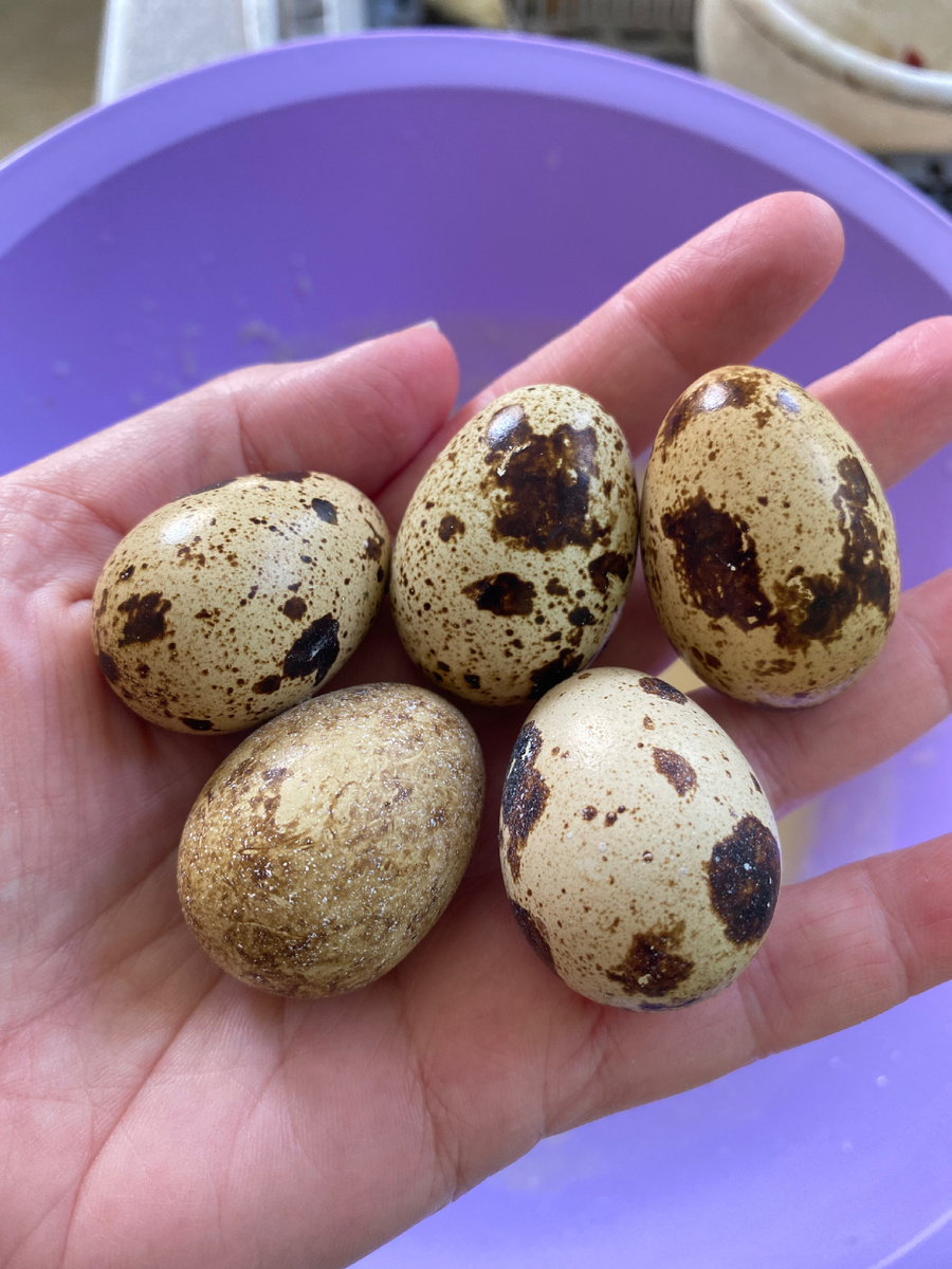 Фото автора статьи 