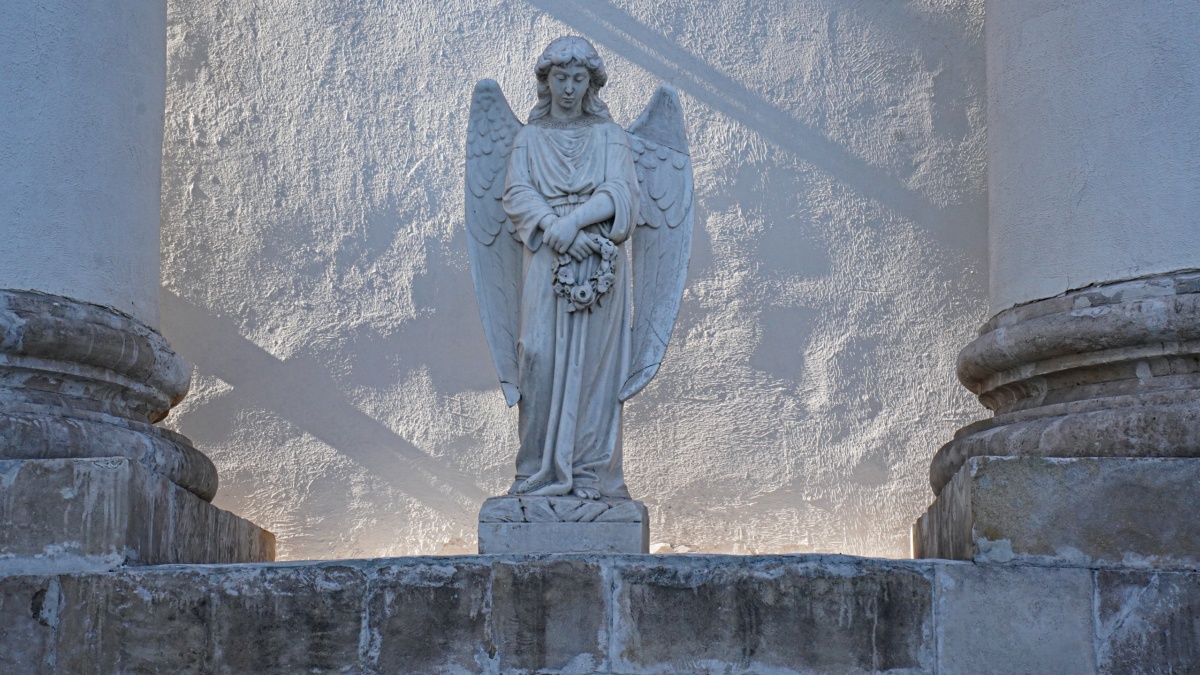 Светлана Мулыкина📷
