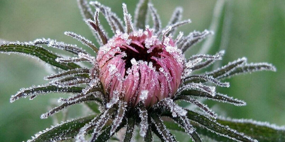 В Карелии отмечено резкое похолодание