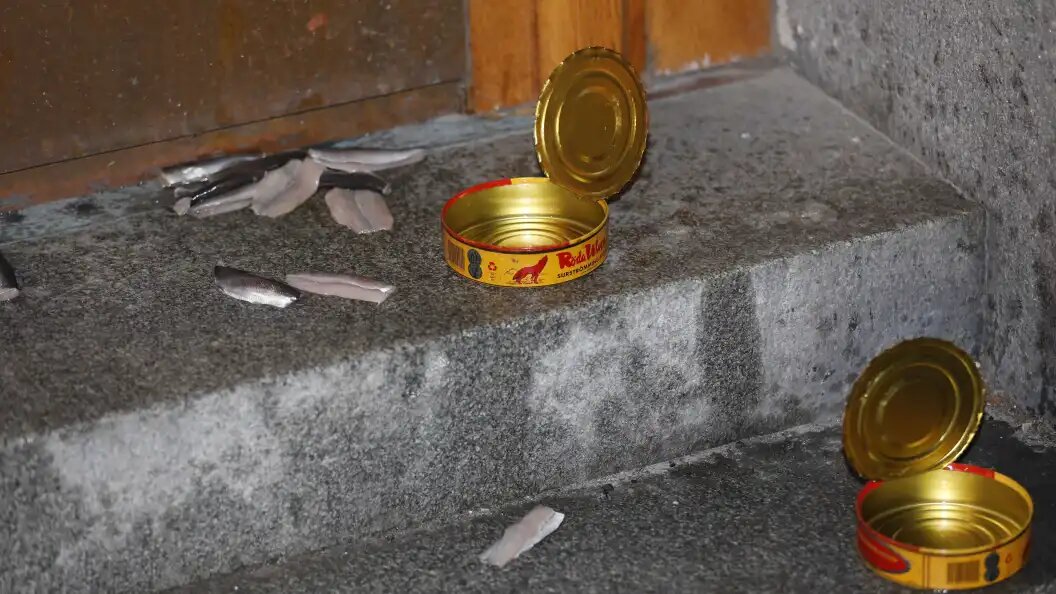    Фото: Ola Axman/Aftonbladet/Tt/Globallookpress