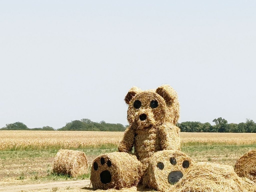   Фото: В. Нурахметова. Галина Ященко